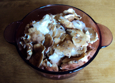 shiitake-caps shiitake-caps