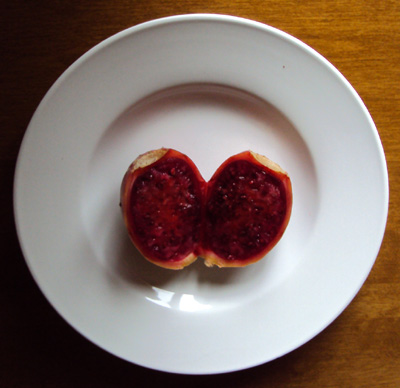 Cactus Pear Fruit