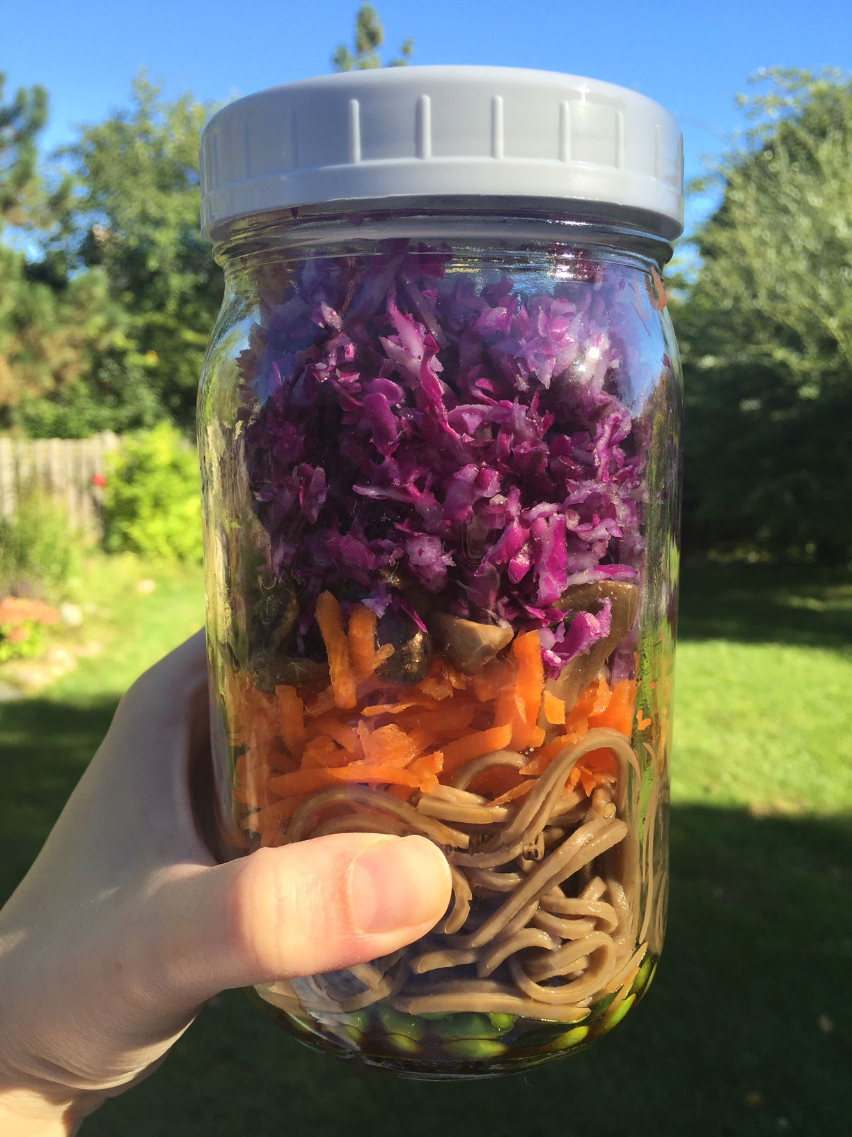 Japanese Soba Noodle Bowl Mason Jar Salad (Vegan, GlutenFree