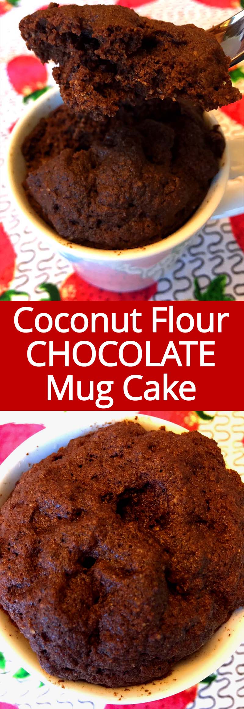 Healthy Chocolate Mug Cake Coconut Flour Healthy Chocolate Mug Cake Coconut Flour