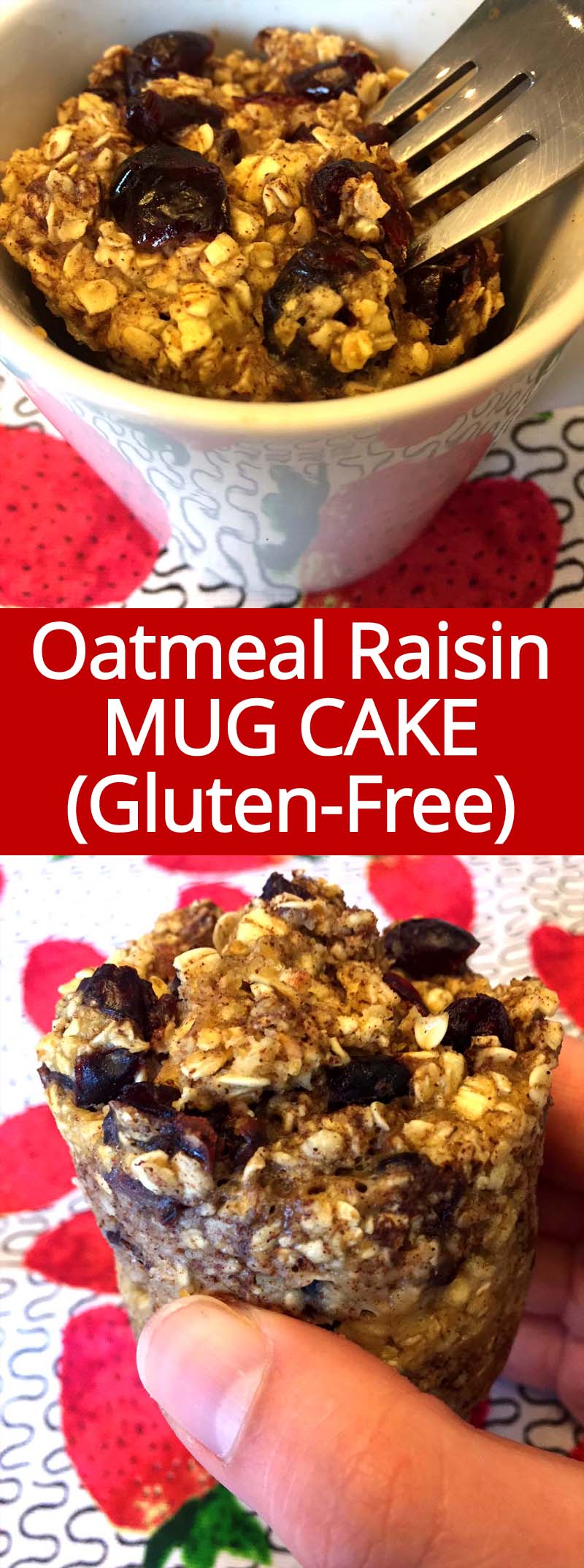 GlutenFree Oatmeal Raisin Microwave Mug Cake Recipe Melanie Cooks