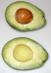 avocado cut in half, stone (pit) intact