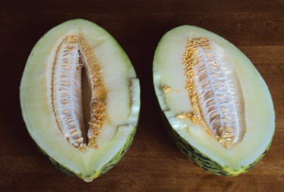juan-canary-melon-inside