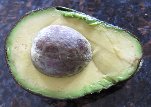 avocado half picture