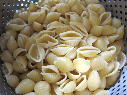 drained pasta shells in a colander