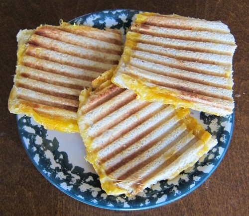 grilled cheese panini sandwich picture