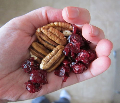a handful of dried cranberries and nuts