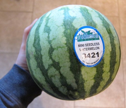 hand holding a small watermelon