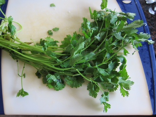 a bunch of cilantro