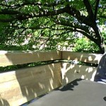garden cafe view at chicago botanic gardens