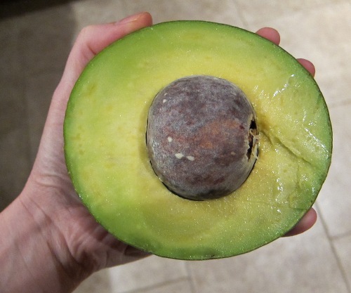 giant avocado half