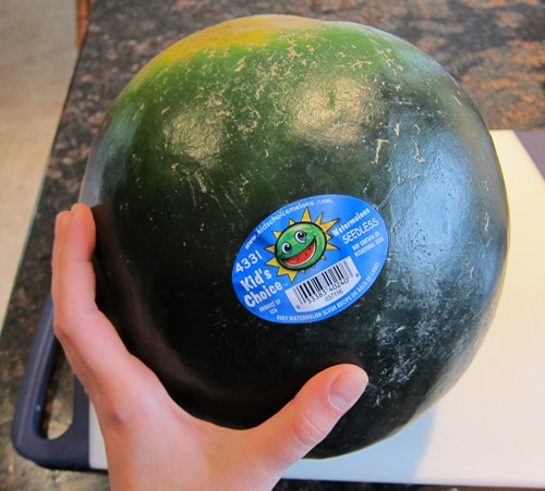 Kid's Choice Watermelon holding in a hand