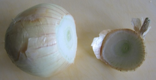 onion end cut off