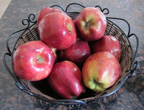 How To Store Apples – In The Refrigerator Or On The Counter?