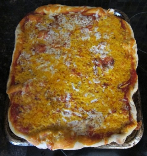 rectangle shaped pizza picture