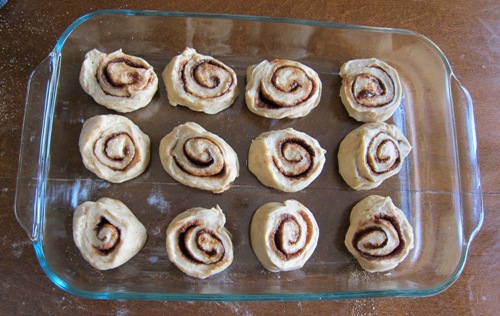cinnamon rolls in a baking dish before rising