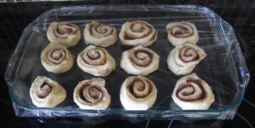 cinnamon rolls rising in a baking dish covered by the plastic wrap