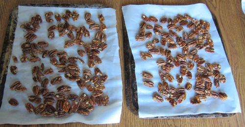 candied pecans right after cooking