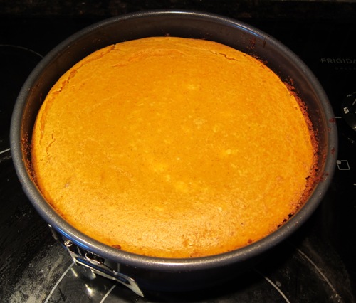 best pumpkin cheesecake freshly baked