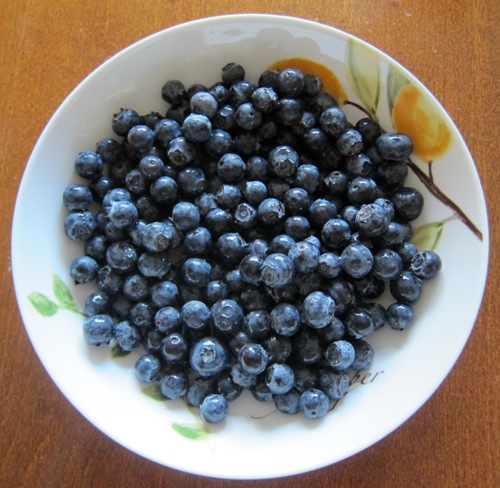 Bowl Of Fresh Blueberries For A Snack