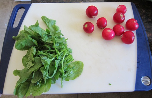 cut off radish greans - leaves and radishes