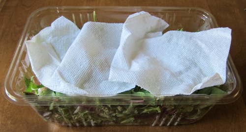 paper towel to keep lettuce fresh