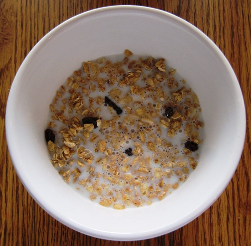 cinnamon raisin granola in a bowl with milk