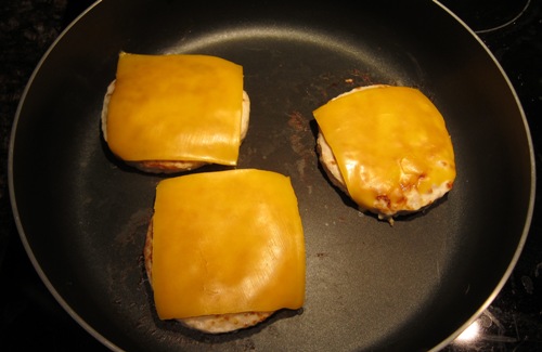 turkey cheeseburger melted cheese