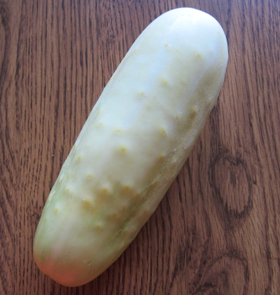 White Cucumbers