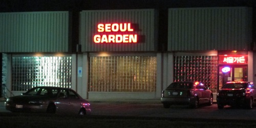 Seoul Garden Korean Restaurant Review – Northbrook IL, Chicago Suburbs