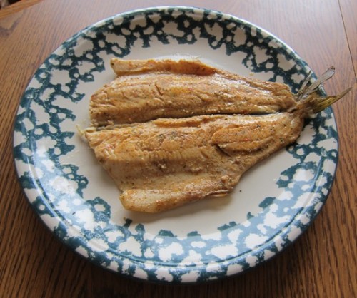 cajun rainbow trout with tail