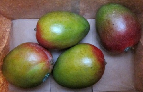 how to ripen mangos