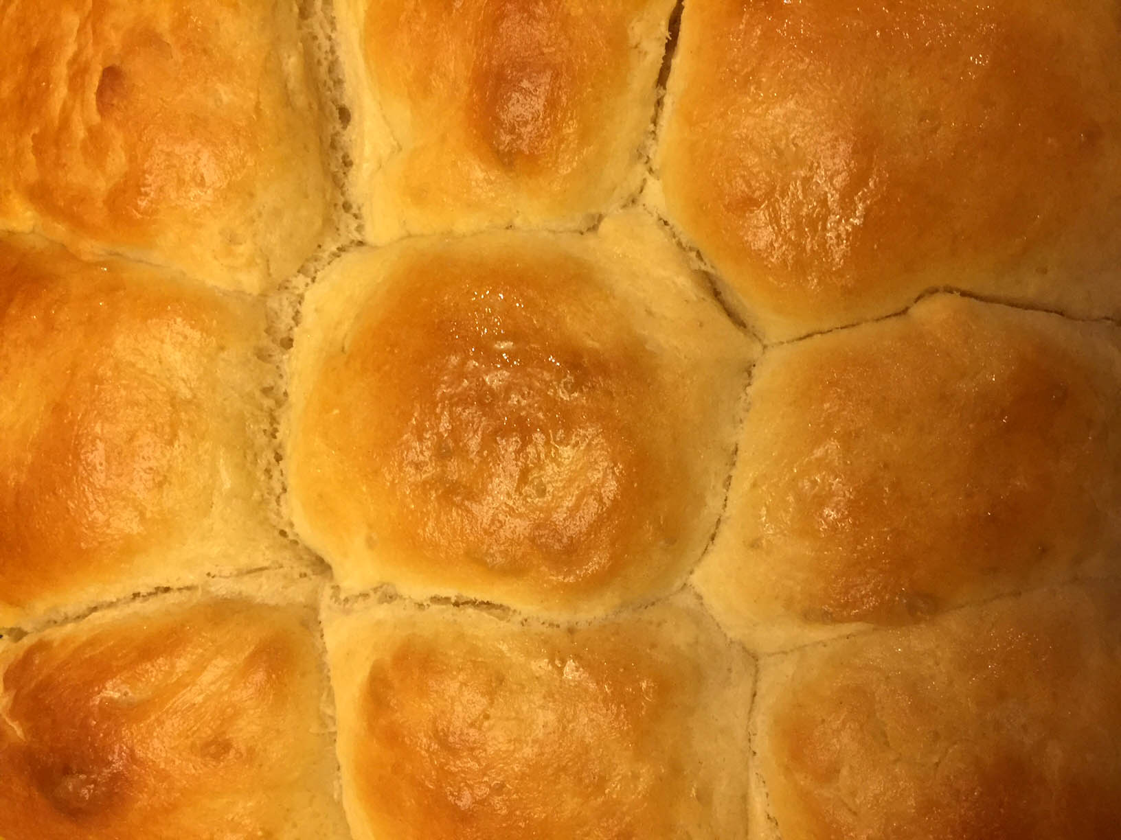 Soft Homemade Bread Machine Dinner Rolls Recipe