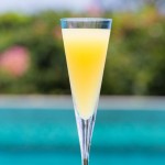 How To Make Mimosas Cocktail Drink