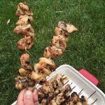 Grilled Chicken Shish Kebabs Marinated In Italian Dressing - so simple and yummy!