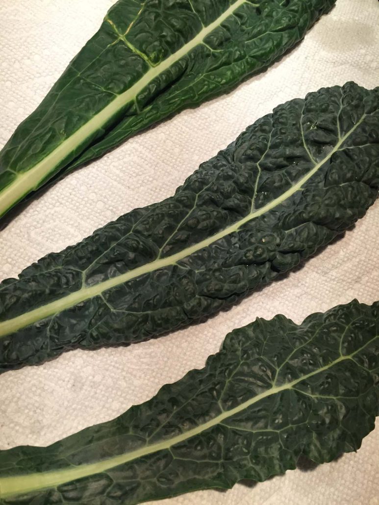 Green Kale Leaves