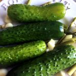 Easy Refrigerator Garlic Dill Pickles Recipe