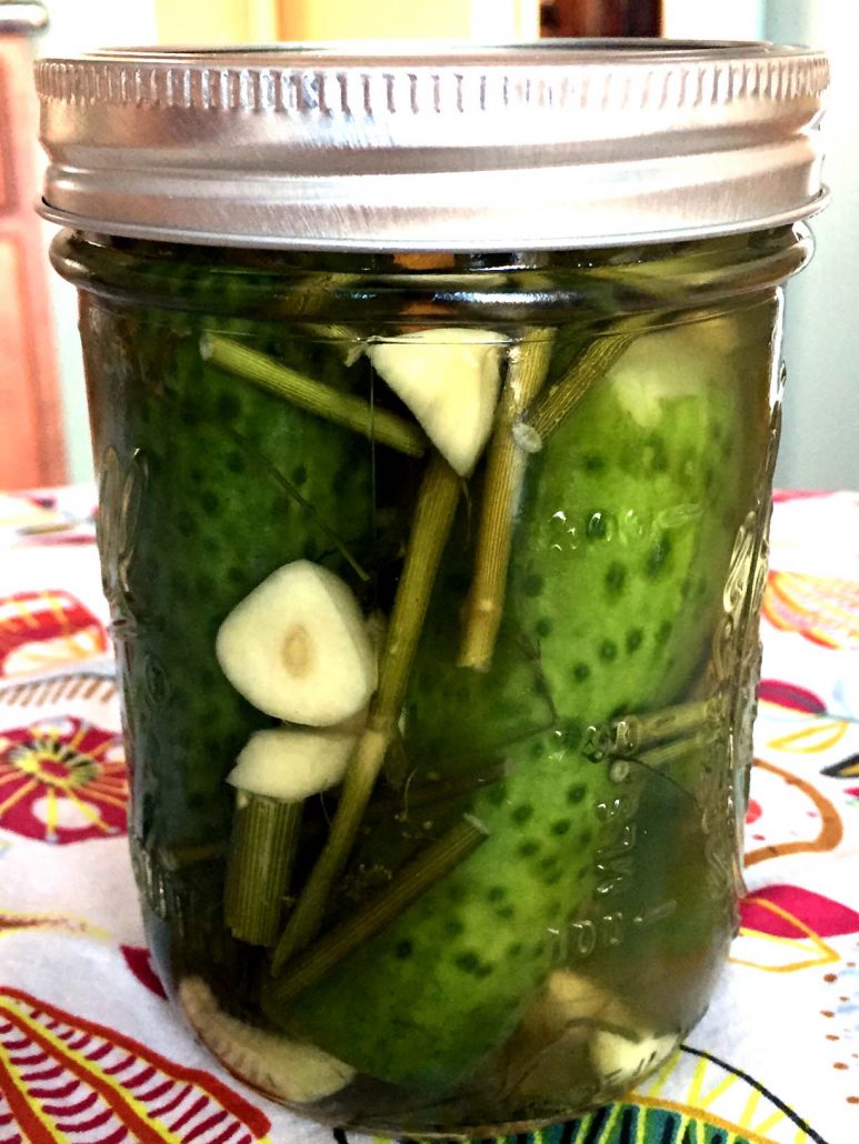 half salted pickles