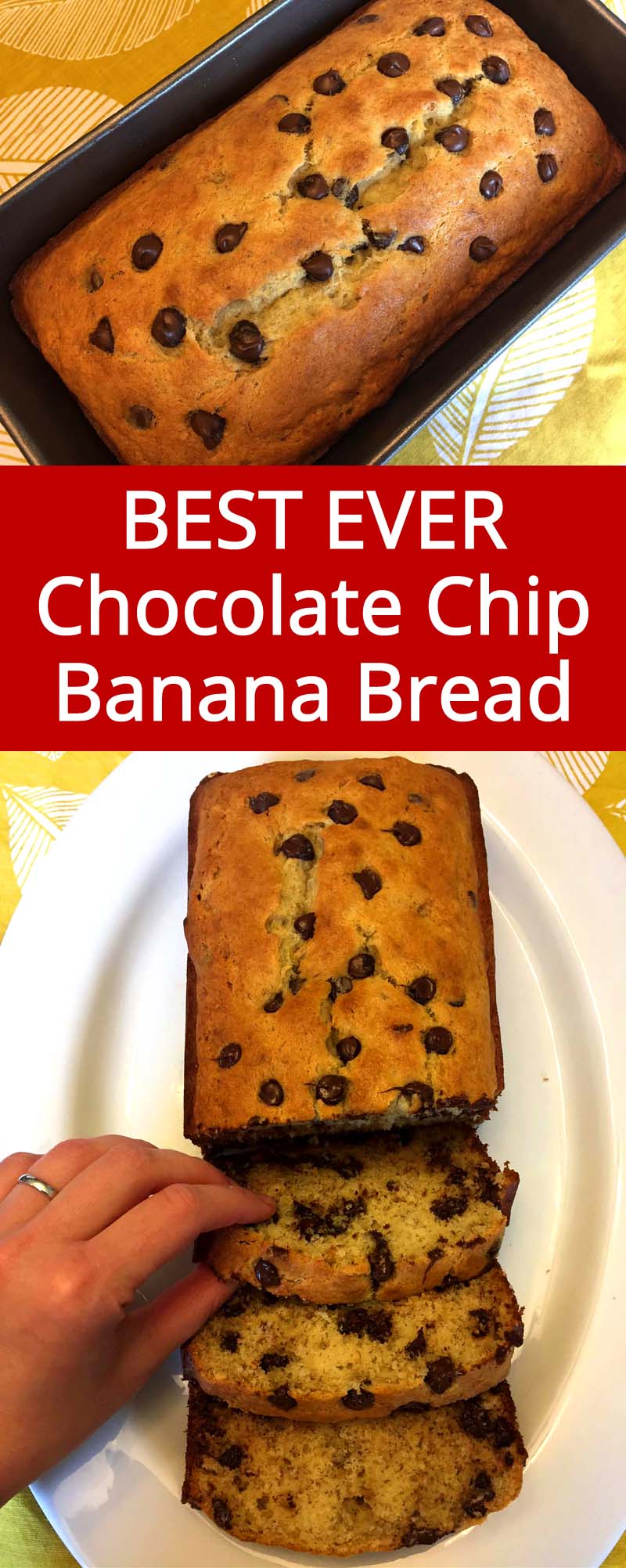 Easy Chocolate Chip Banana Bread Recipe – Best Ever! – Melanie Cooks