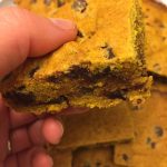 Pumpkin Bars Squares With Chocolate Chips