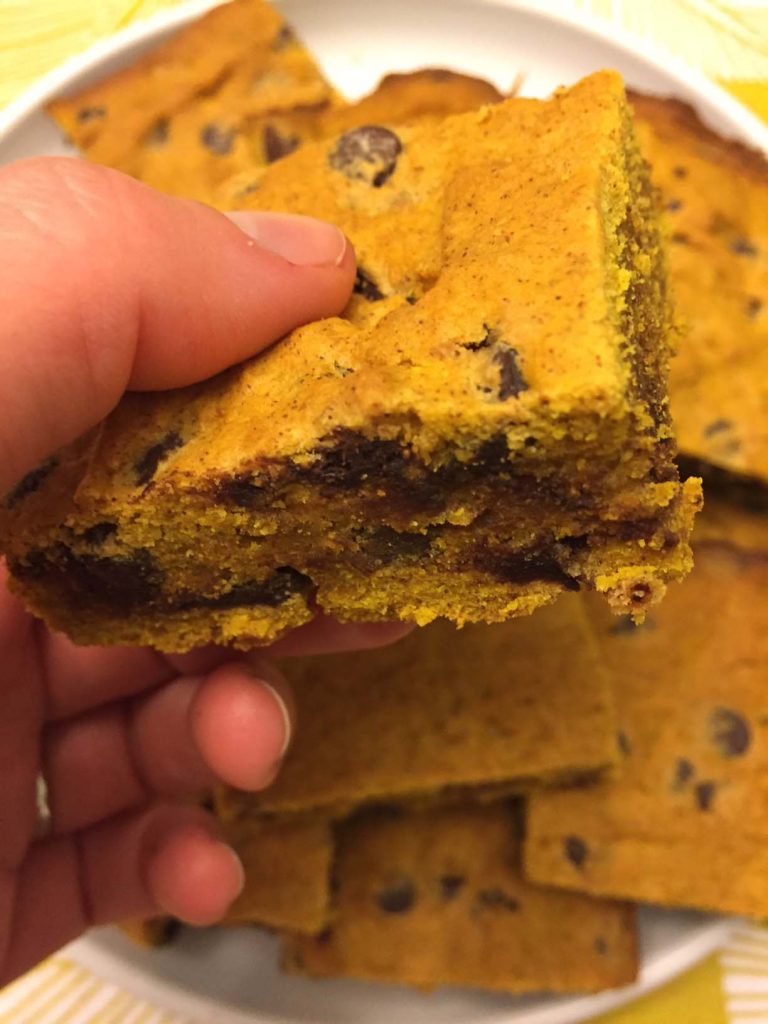 Pumpkin Bars With Chocolate Chips – Easy Pumpkin Squares Recipe