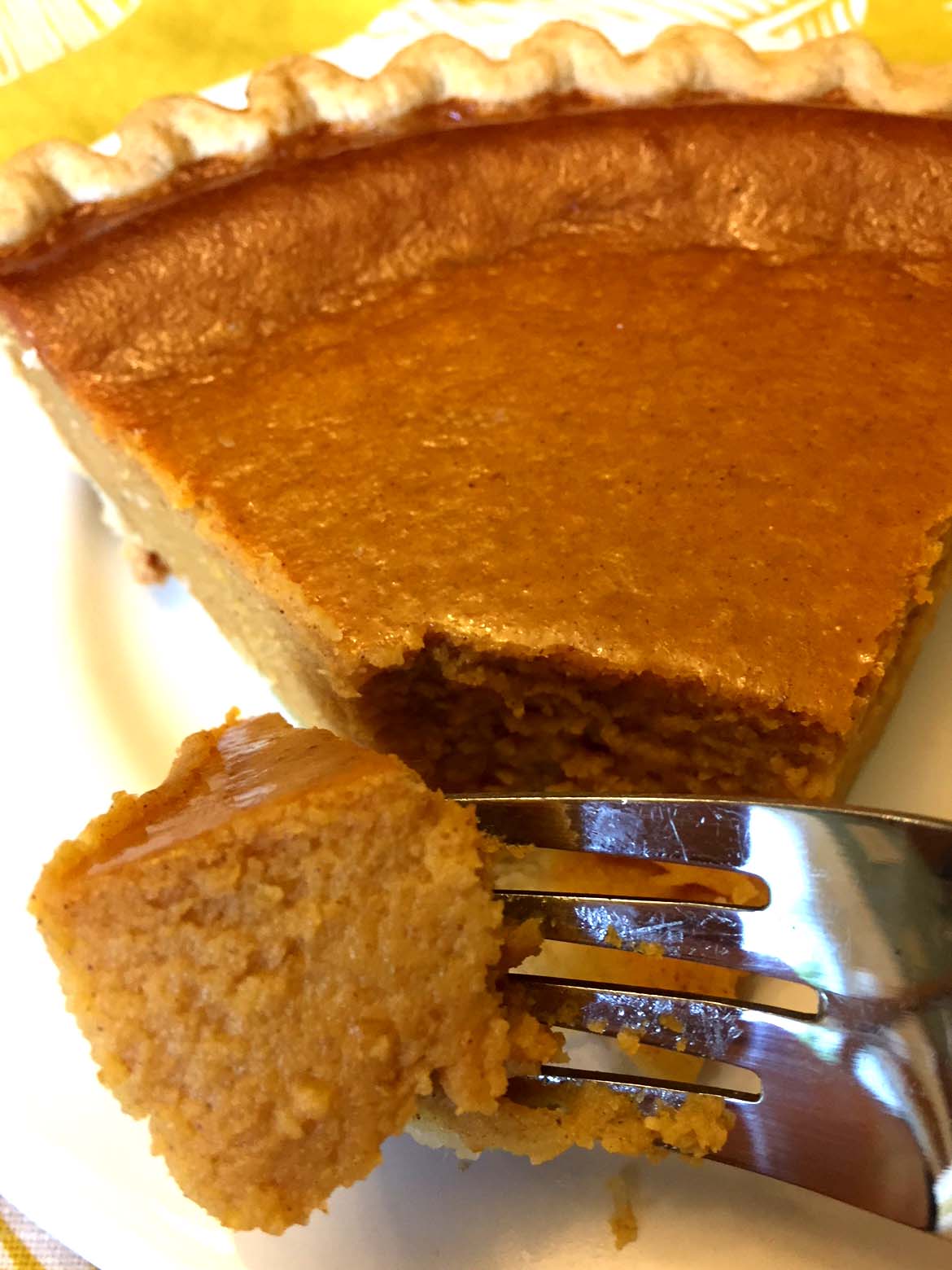 Pumpkin Pie Recipe Sweetened Condensed Milk Scratch Besto Blog