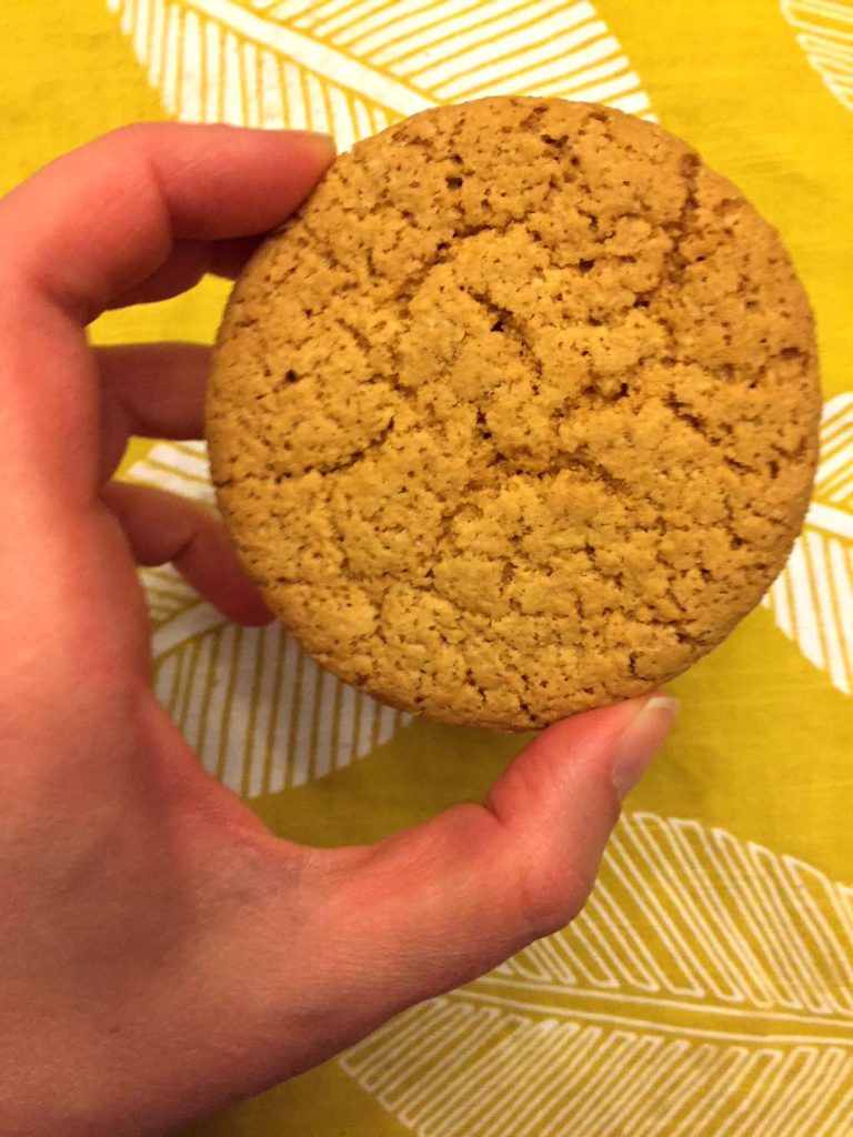 Healthy Snickerdoodles Cookies (Gluten-Free, Paleo, Vegan)