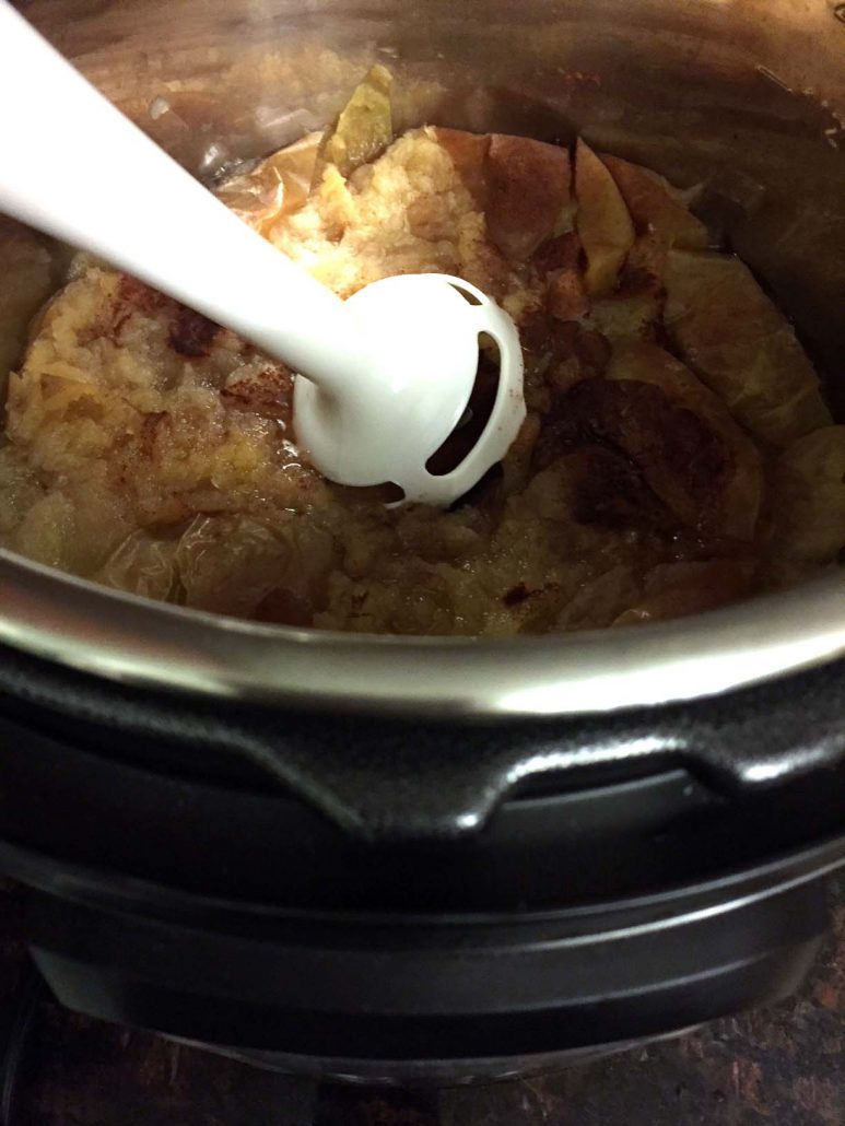 Instant Pot Apple Sauce Immersion Blender