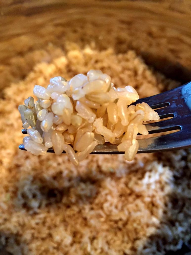 Instant Pot Brown Rice Recipe