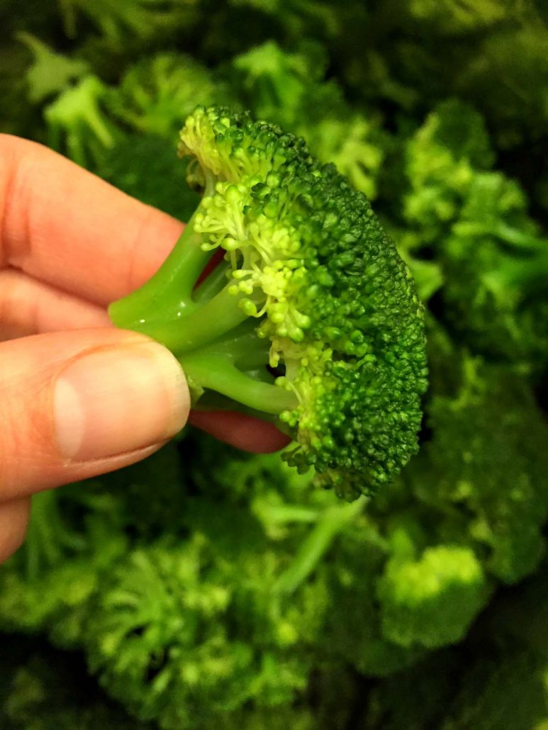 Instant Pot Steamed Broccoli Recipe