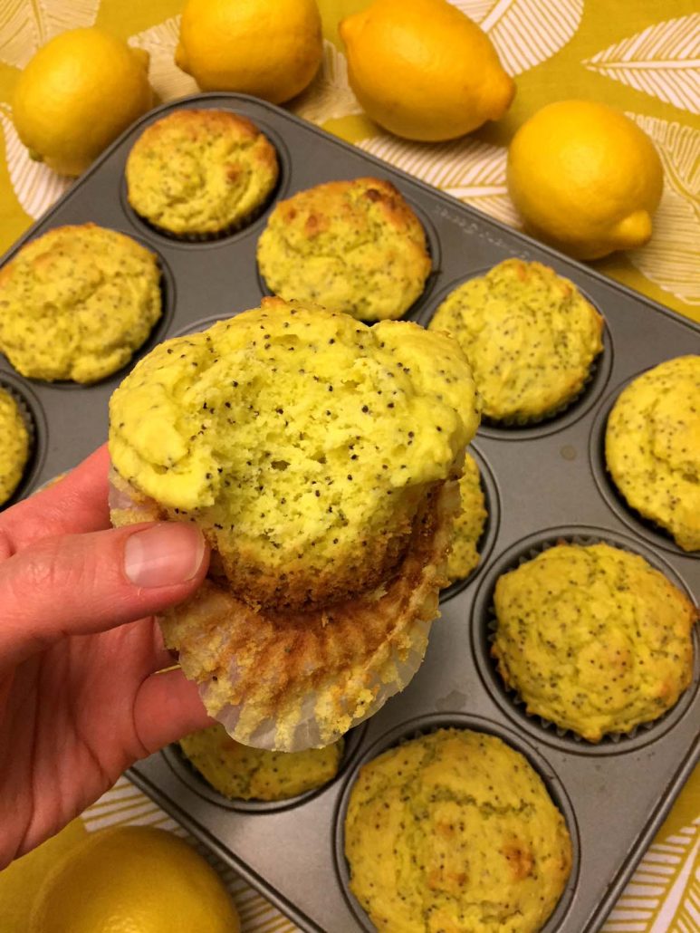 Homemade Lemon Muffin With Poppy Seeds
