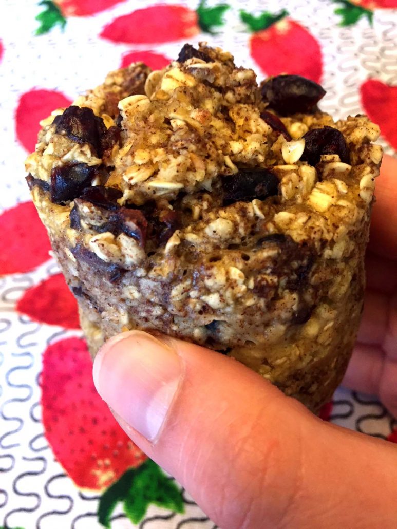 Baked Oatmeal Mug Muffin