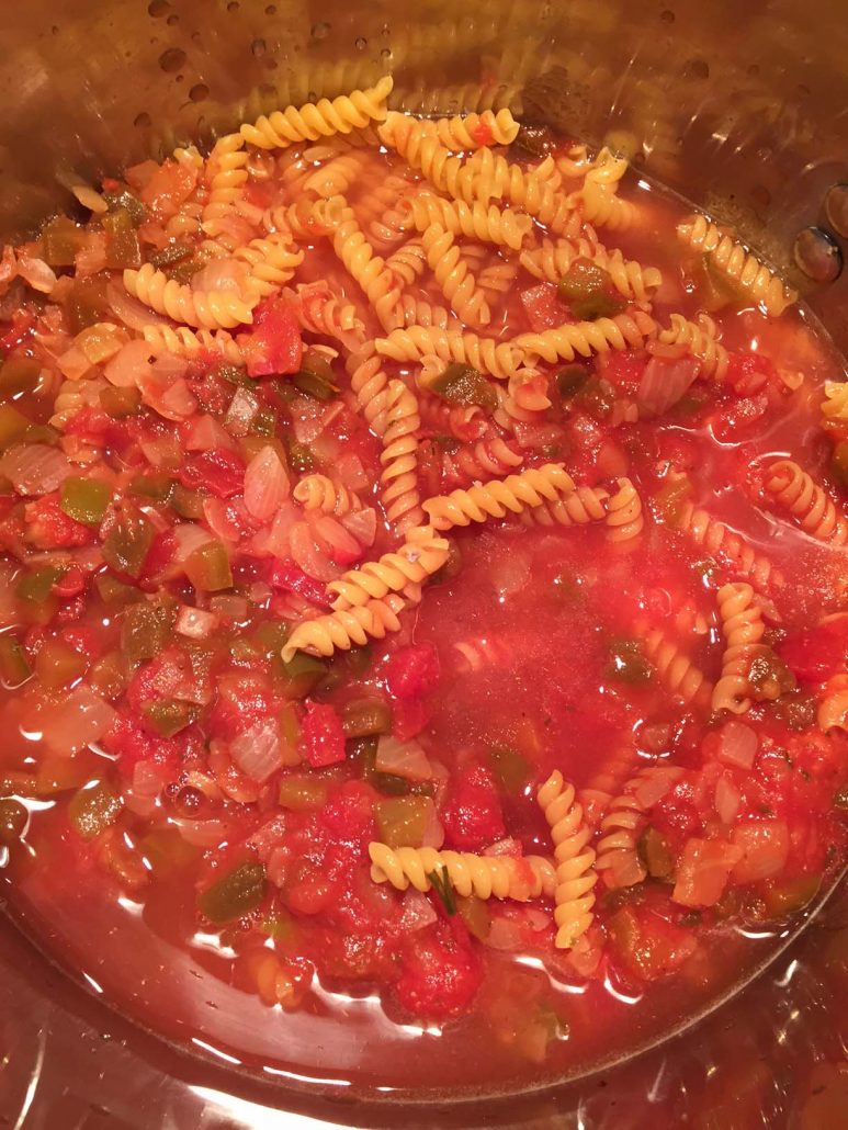 Pasta, salsa, water and ground turkey