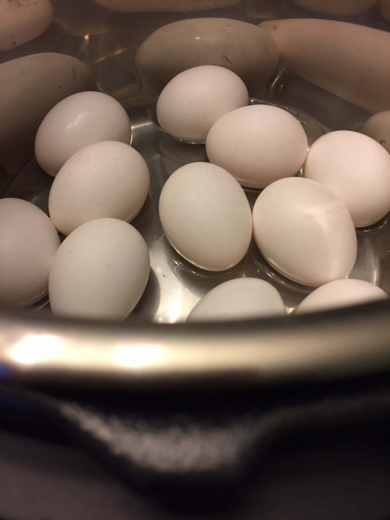 Instant Pot Boiled Eggs Recipe